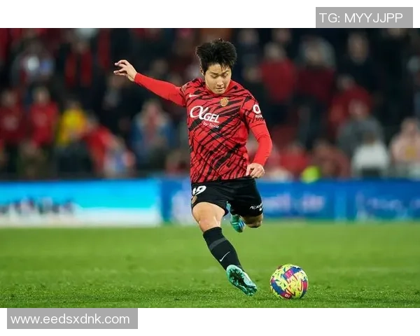 足球明星真人秀最新动态揭秘球场外的精彩生活与挑战